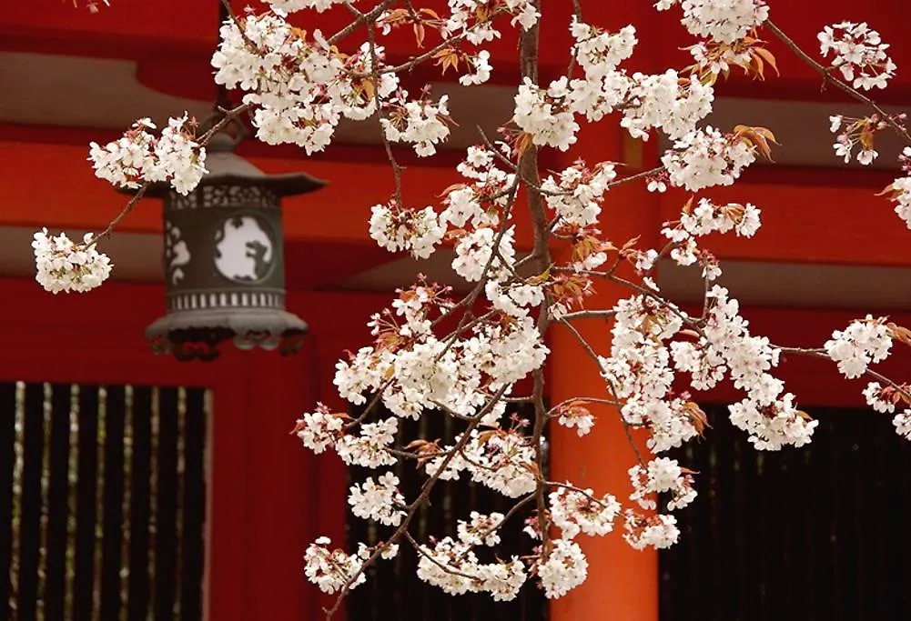 Neneko House Villa Kyoto 0*,